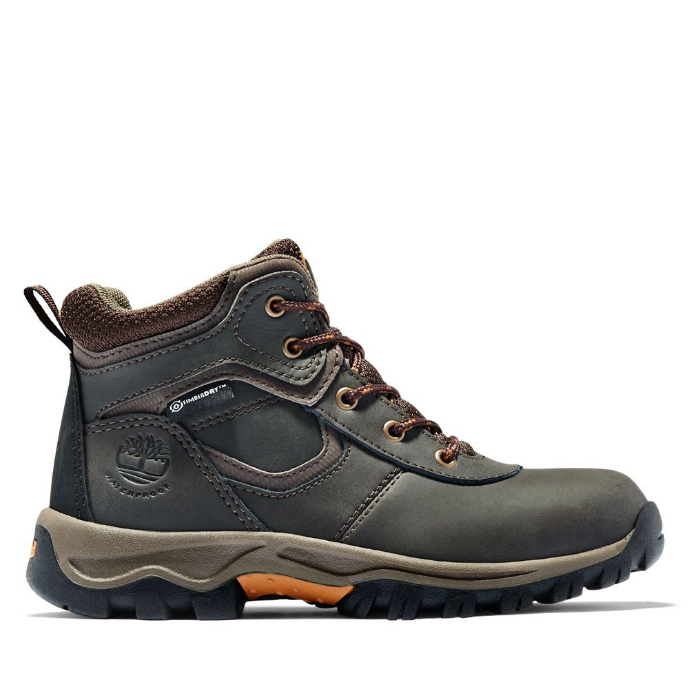 Timberland Παπούτσια Πεζοπορίας Παιδικα Βαθυ Καφε - Youth Mt. Maddsen Waterproof - Greece 4261750-OR